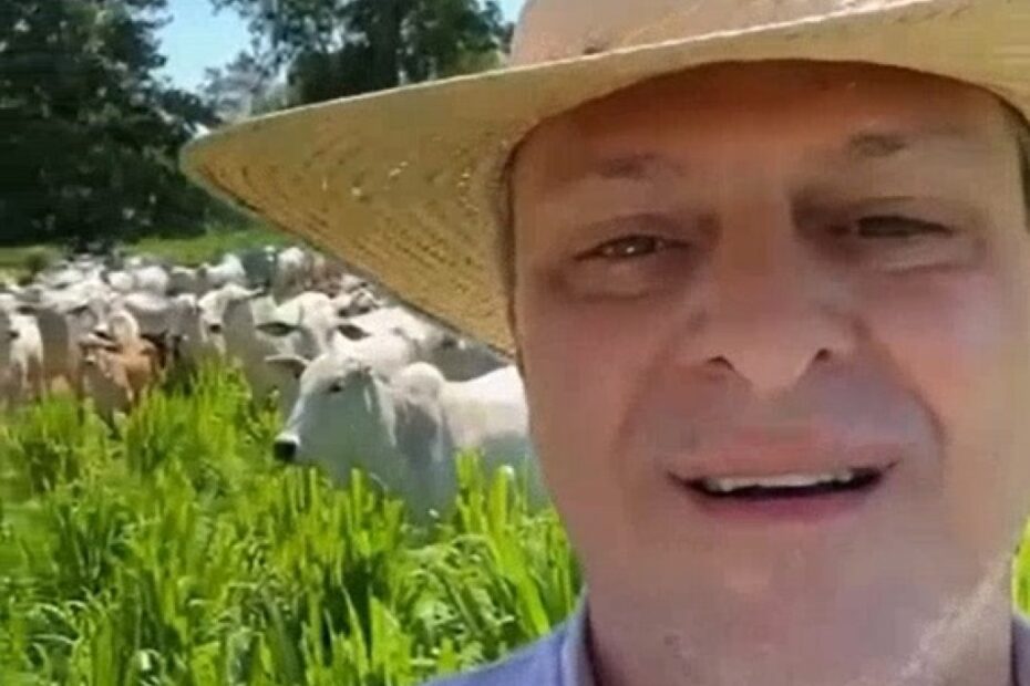 Ministro da Agricultura faz vídeo exaltando a pecuária brasileira - CAPITAL DA TILÁPIA NEWS