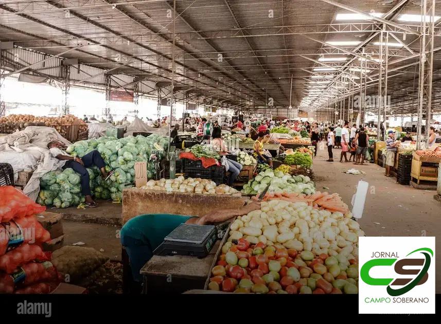 A equipe de profissionais da OdontoCompany Ceasa