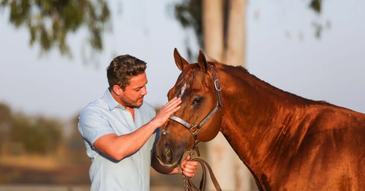 A Fazenda-Mansão de Safadão: Cavalos e Praia Privativa 14 Conheça a fazenda-mansão de Wesley Safadão, com cavalos de raça e até praia particular