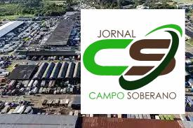 A Importância de Escolher Pneus de Qualidade na Garra Pneus Ceasa A Importância de Escolher Pneus de Qualidade na Garra Pneus Ceasa