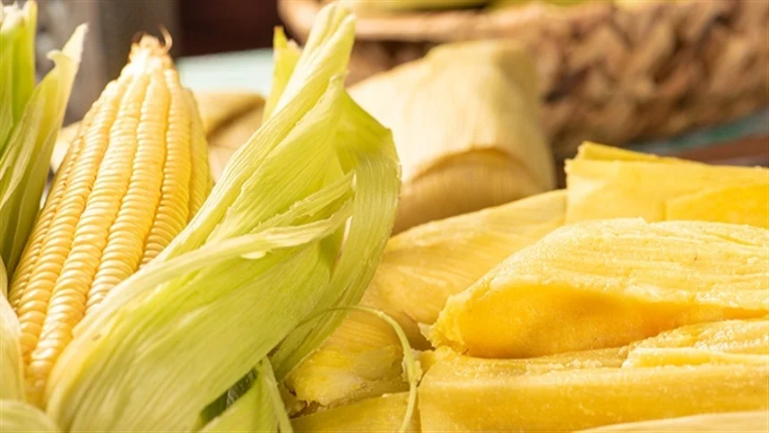 O Portal do conteúdo Agropecuário. Confira: Noticias atualizadas, Previsão do tempo, cotações, sistemas especialistas de produtos agro, Colunistas, Classificados gerais.