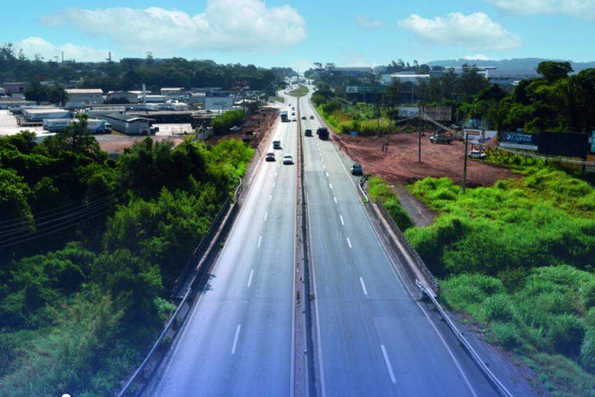 Cavalo é atropelado e morto em rodovia; duas pessoas ficaram feridas