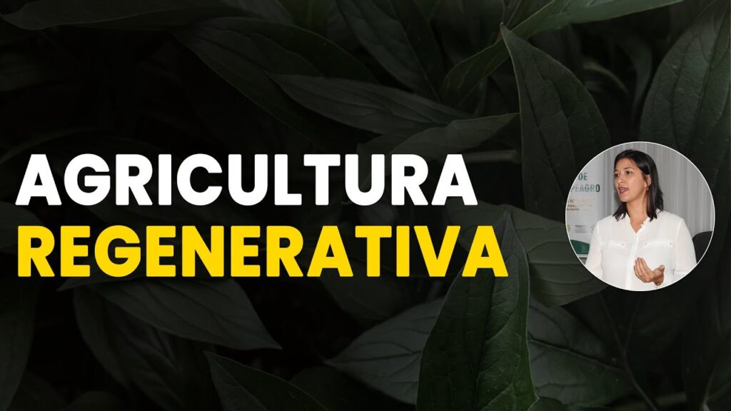 agricultura regenerativa descubra seus beneficios