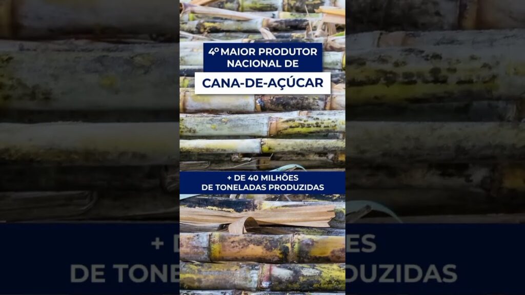 agro ms fatos interessantes f09f8cb1