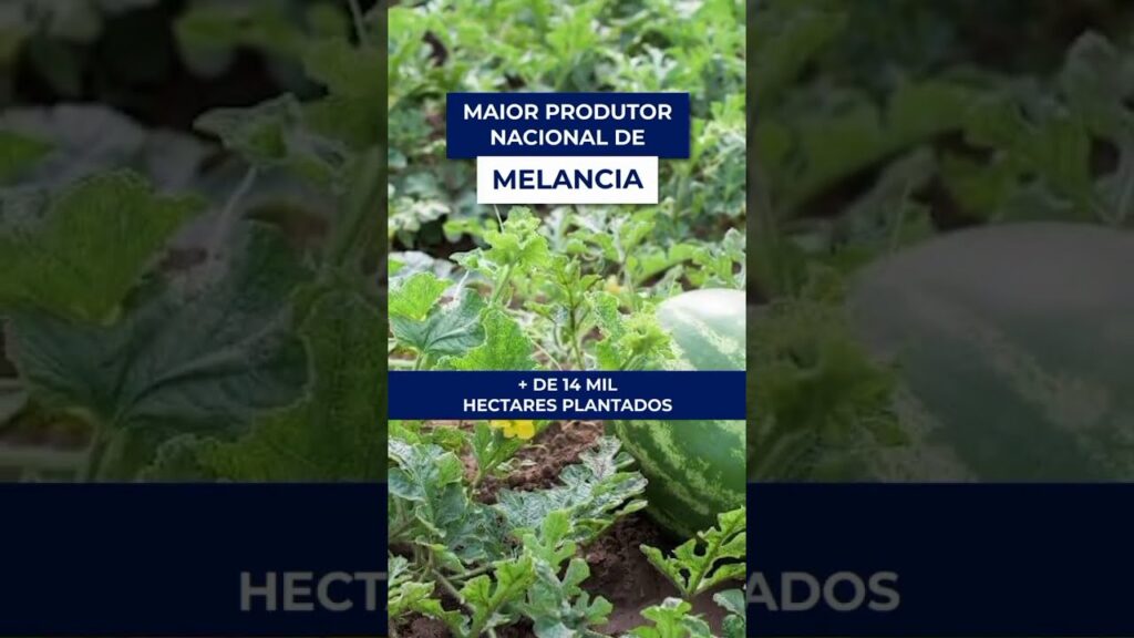 agro rn fatos relevantes f09f8cb1