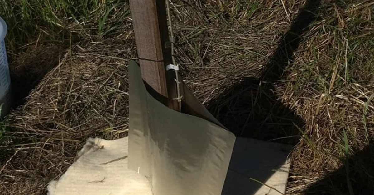 Embrapa e indústria inovam com agromantas de lã 2 Embrapa e indústria vão desenvolver agromantas a partir de lã de ovelha