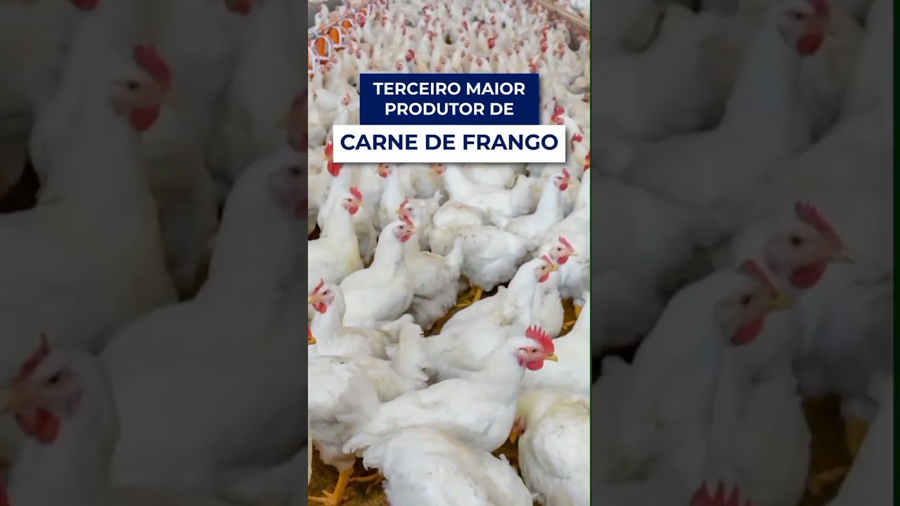 agronegocio catarinense em destaque f09f8cb1