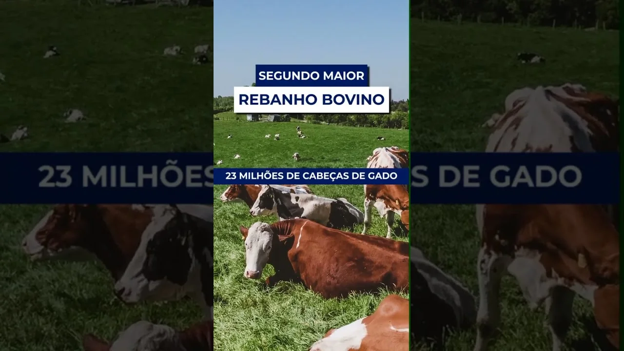 Agronegócio em Goiás: Realidade e Potencial 🌱 1 agronegocio em goias realidade e potencial f09f8cb1