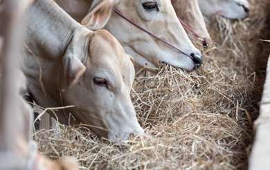 Alcançando o Topo em 8 Meses: Um Sucesso Surpreendente