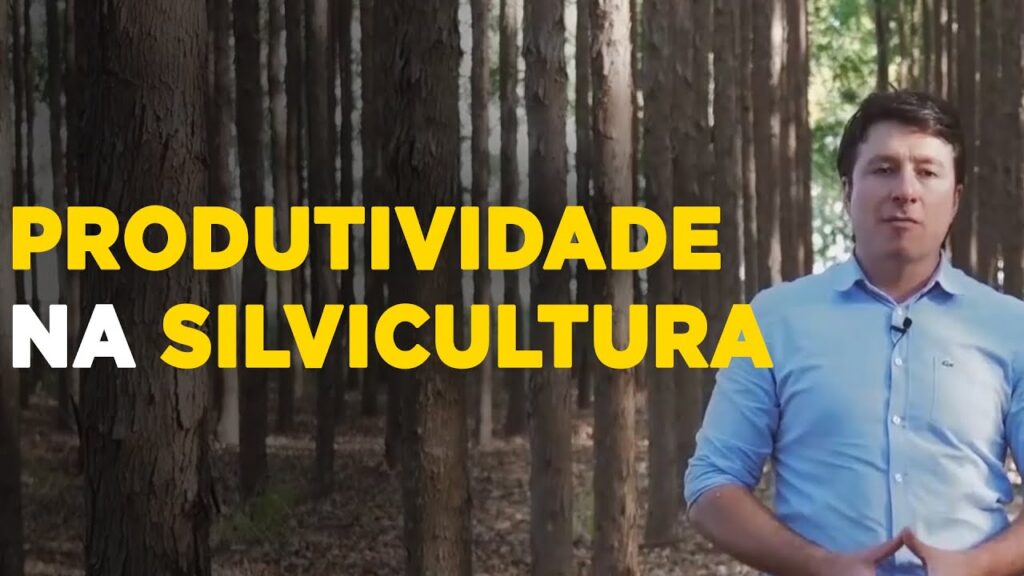 Alta Produtividade em Silvicultura: Dicas Essenciais 2 alta produtividade em silvicultura dicas essenciais