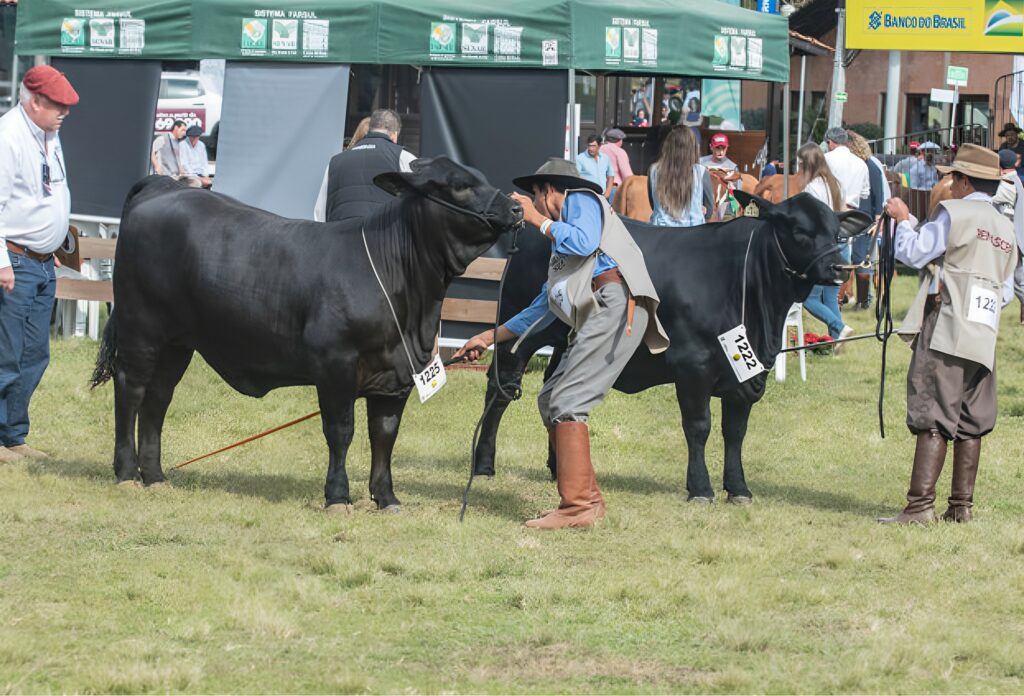 ANC anuncia data da Fenagen Promebo em Pelotas – Fique ligado!