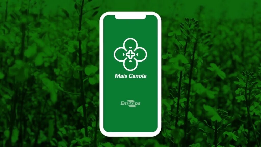 aplicativo mais canola