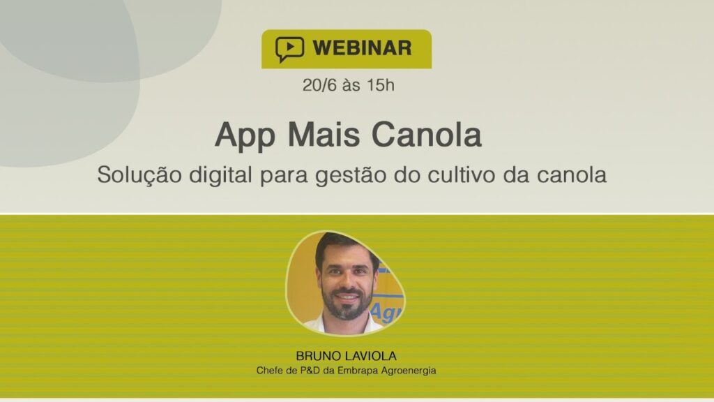 app mais canola solucao digital para gestao do cultivo da canola