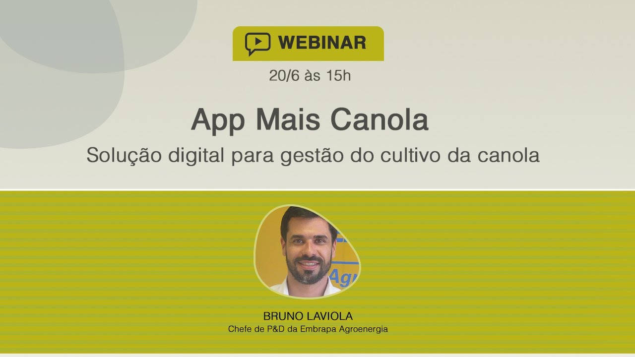 app mais canola solucao digital para gestao do cultivo da canola
