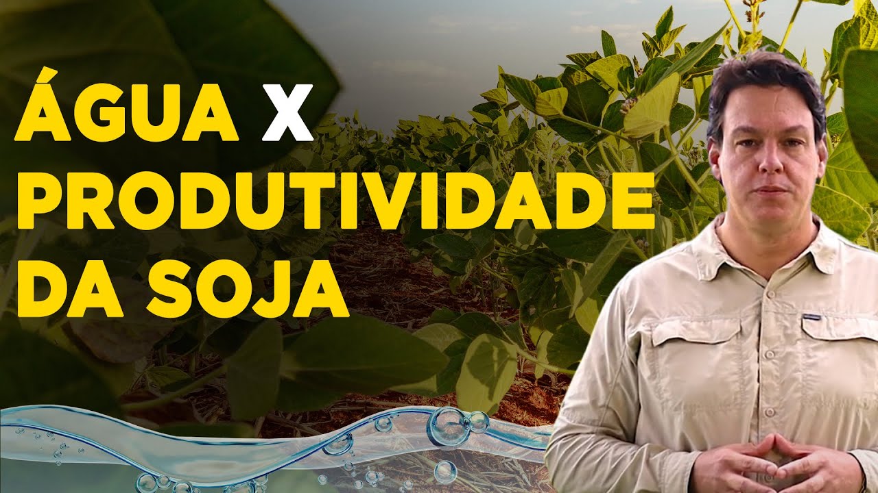 aproveite ao maximo sua produtividade de soja a importancia do manejo da agua