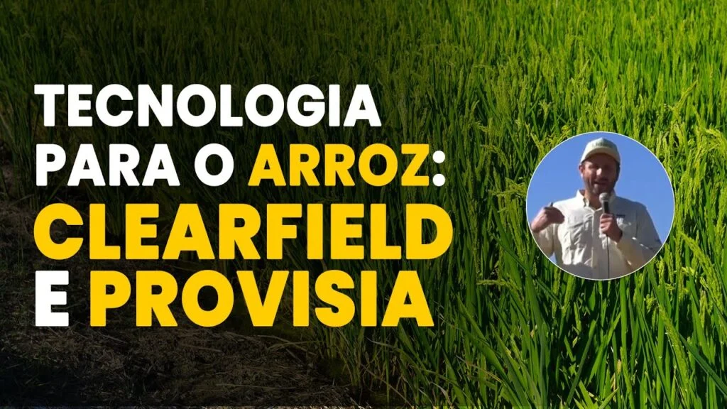 arroz sem daninhas clearfield e provisia