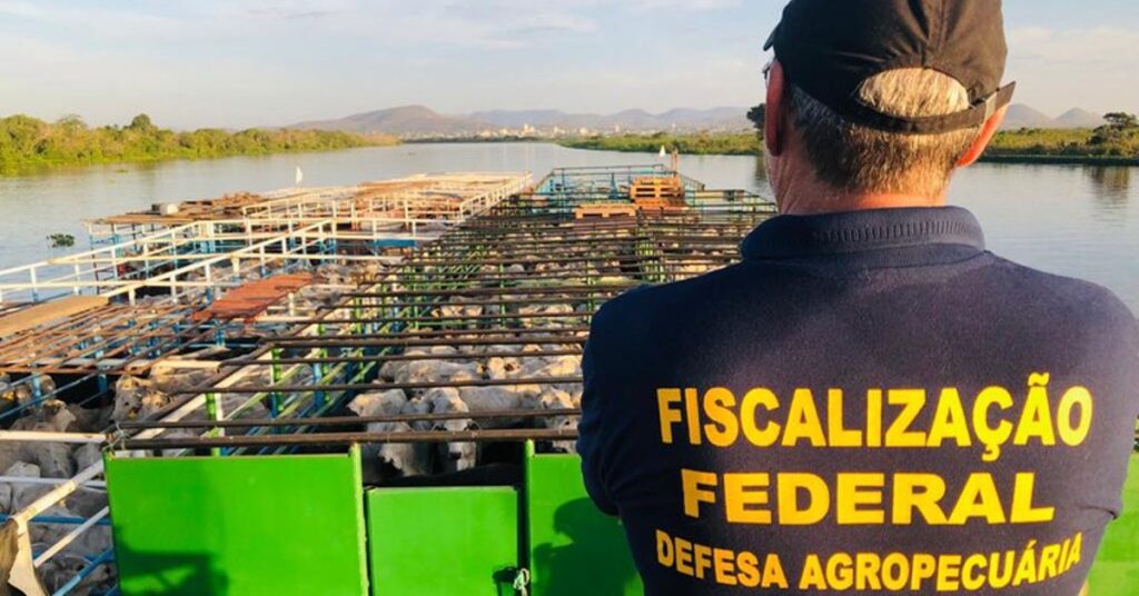 auditores agropecuários iniciam mobilização para pressionar governo • Portal DBO