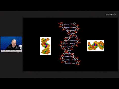 aula principais testes utilizados em diagnostico de ia e dnc e envio de material para diagnostico