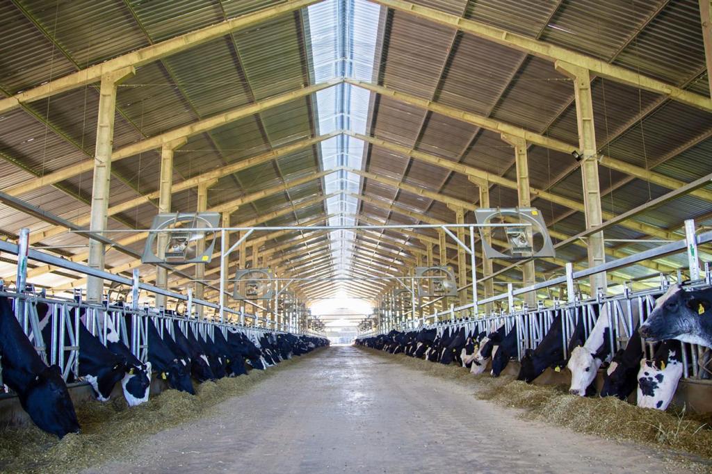 Avaliação da eficiência na produção de leite