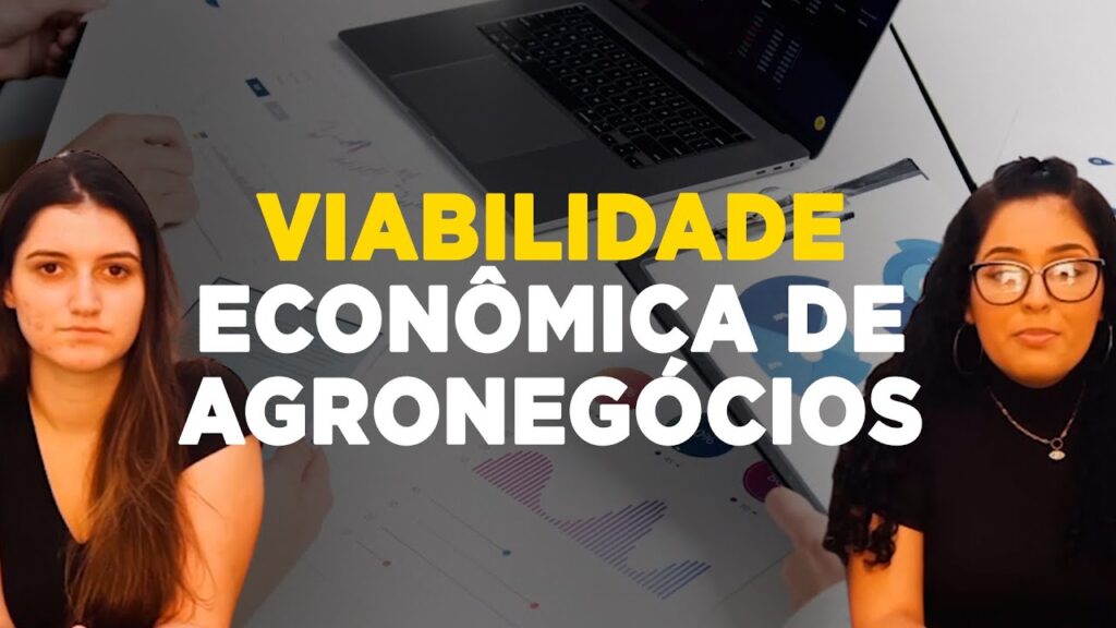 avalie viabilidade do agronegocio