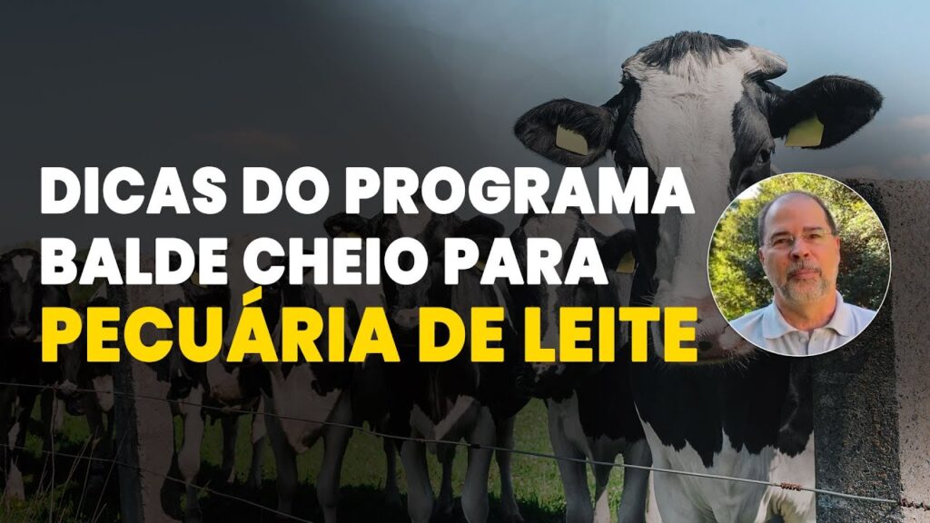 balde cheio a revolucao da embrapa