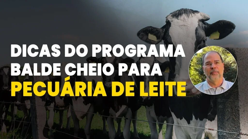 balde cheio a revolucao da embrapa