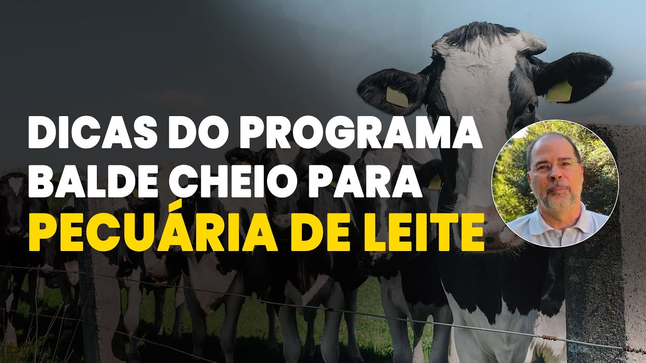 balde cheio a revolucao da embrapa