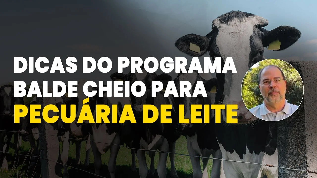 Balde Cheio: A Revolução da Embrapa 2 balde cheio a revolucao da embrapa