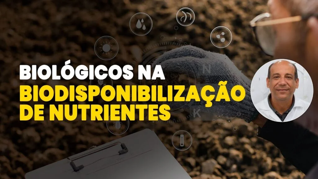 Bioativos no Solo: Maximizando Nutrientes 4 bioativos no solo maximizando nutrientes