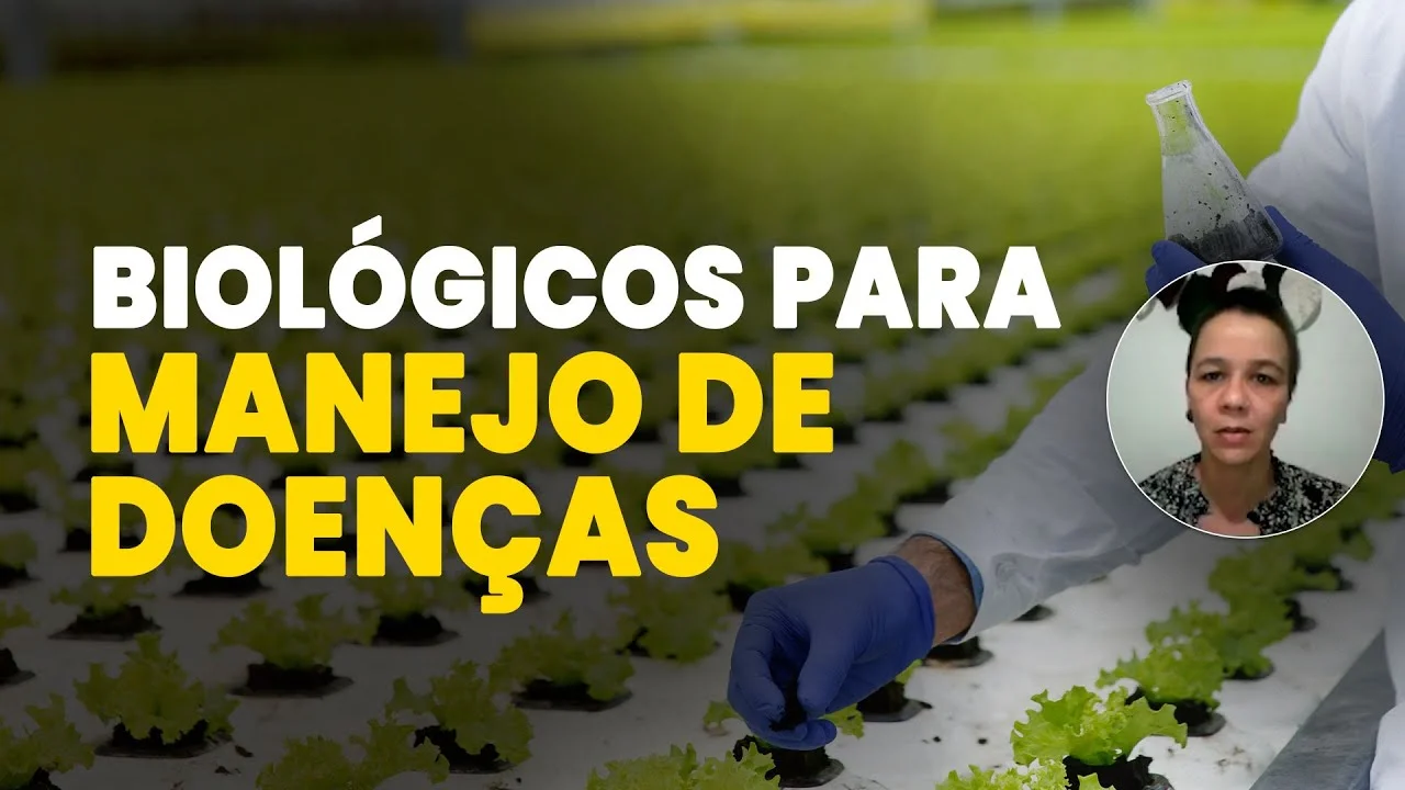 Biológicos no Controle de Doenças 1 biologicos no controle de doencas