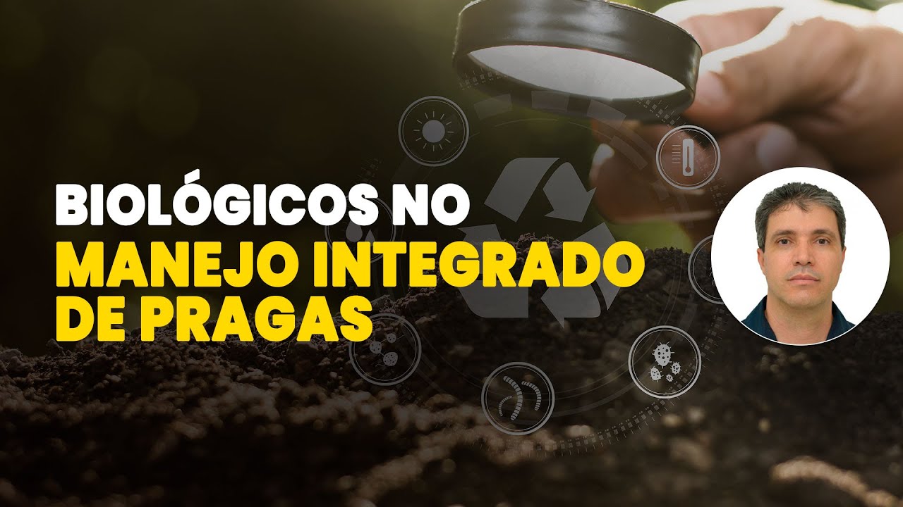 Biológicos no controle de pragas
