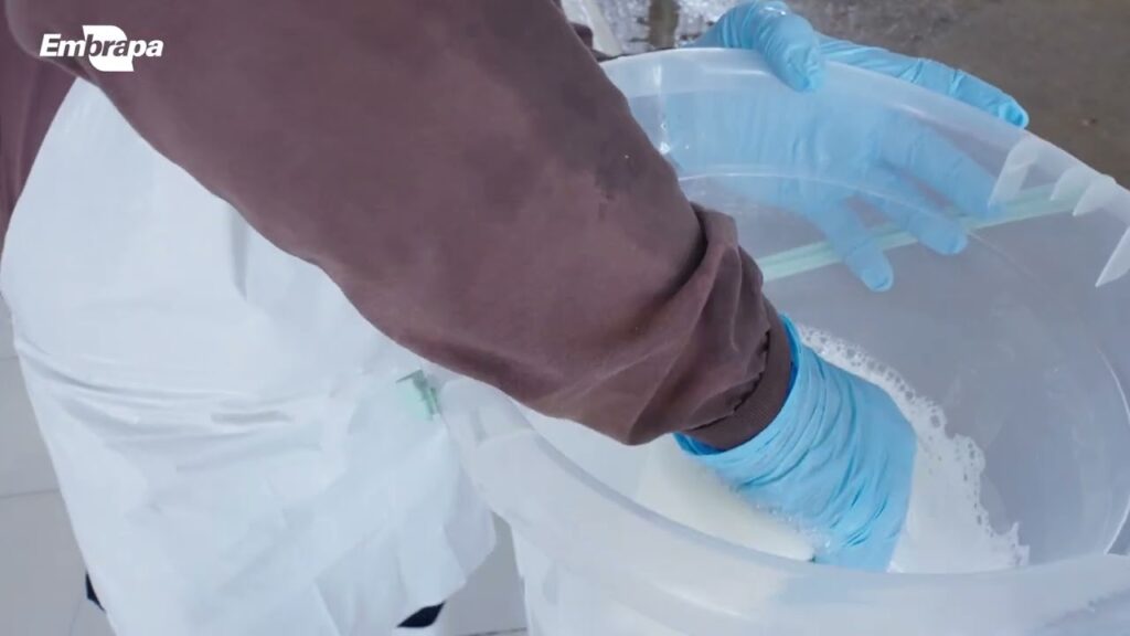 Boas práticas em qualidade do leite - cuidados com equipamentos de ordenha 20 boas praticas em qualidade do leite cuidados com equipamentos de ordenha