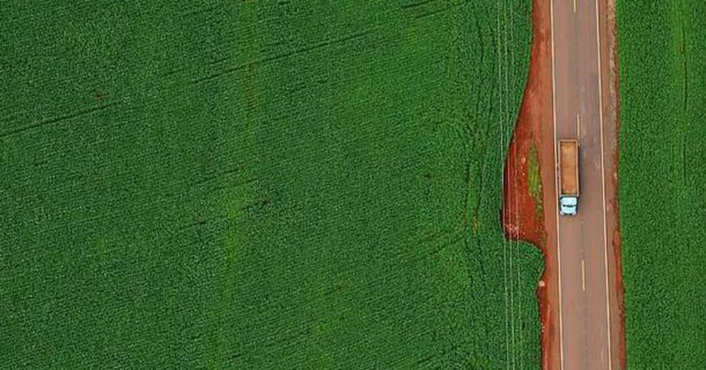 Brasil colherá maiores safras já vistas de soja, milho, sorgo e algodão. E, provavelmente, de trigo