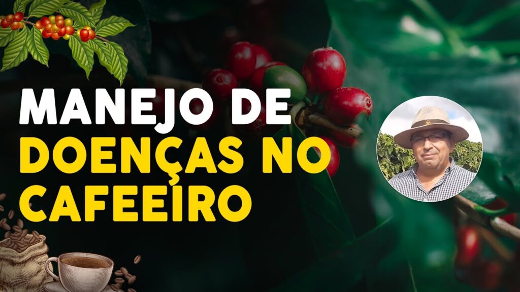 Café: Manejo das Doenças 38 cafe manejo das doencas