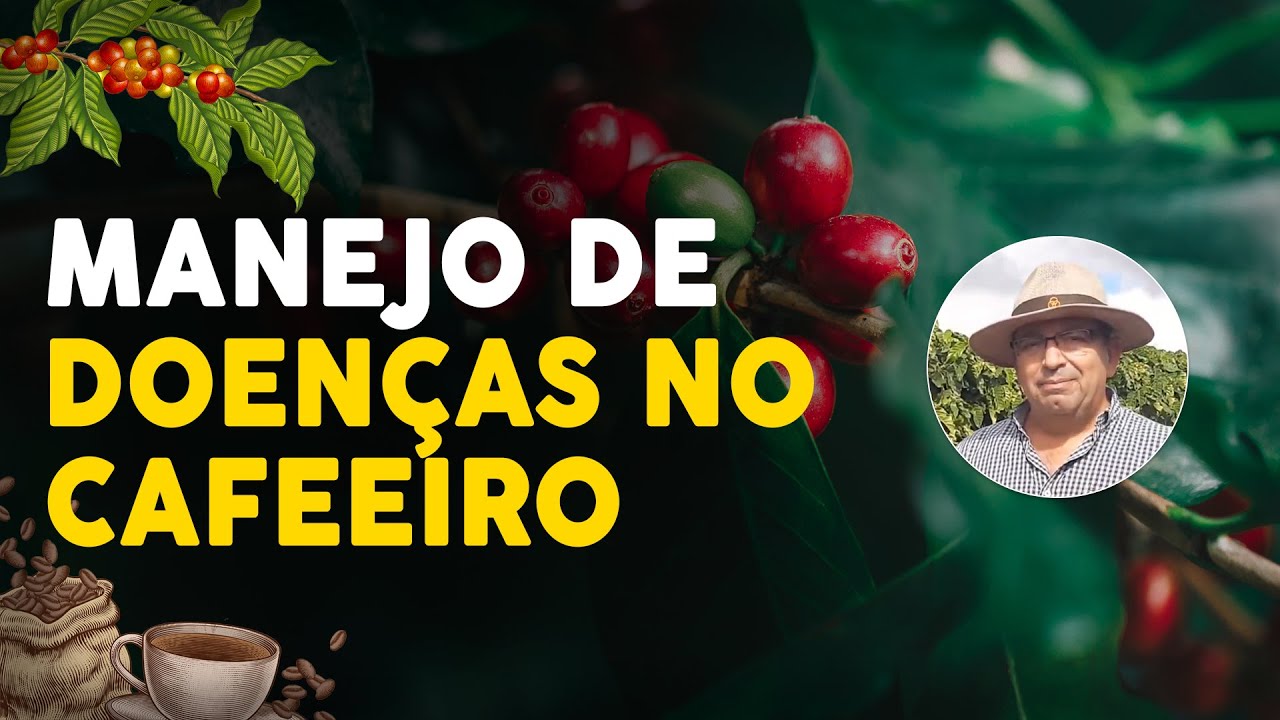 Café: Manejo das Doenças