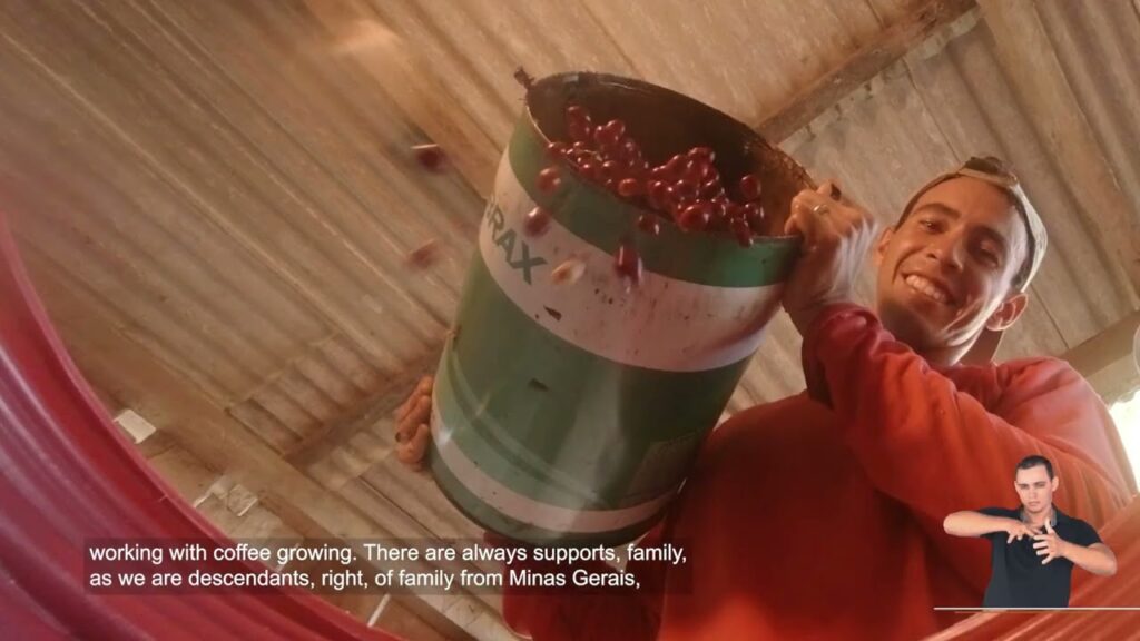 cafe robusta amazonico