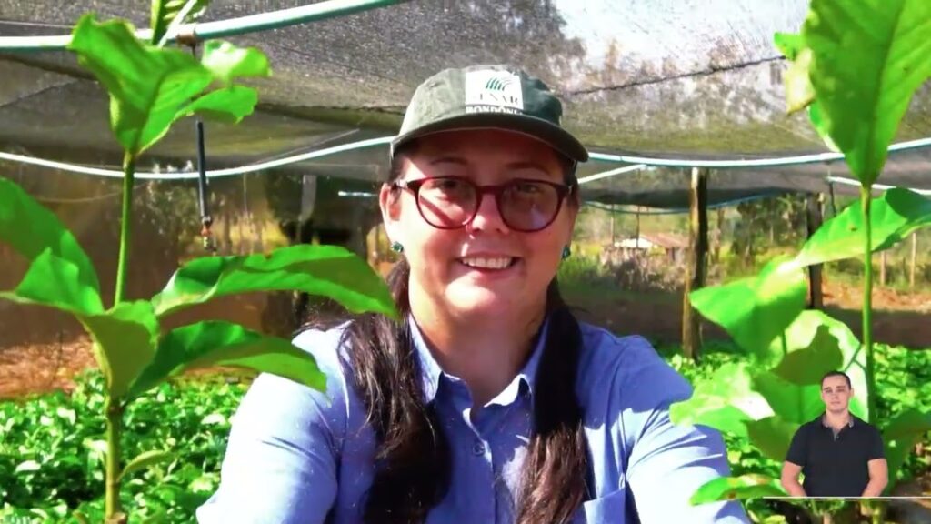 cafe robusta amazonico resumido