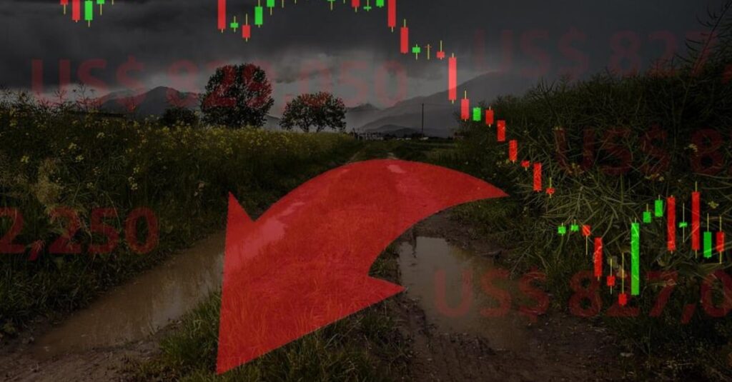 Chicago despencou mesmo com indicação de quebra de soja no Brasil; veja as cotações