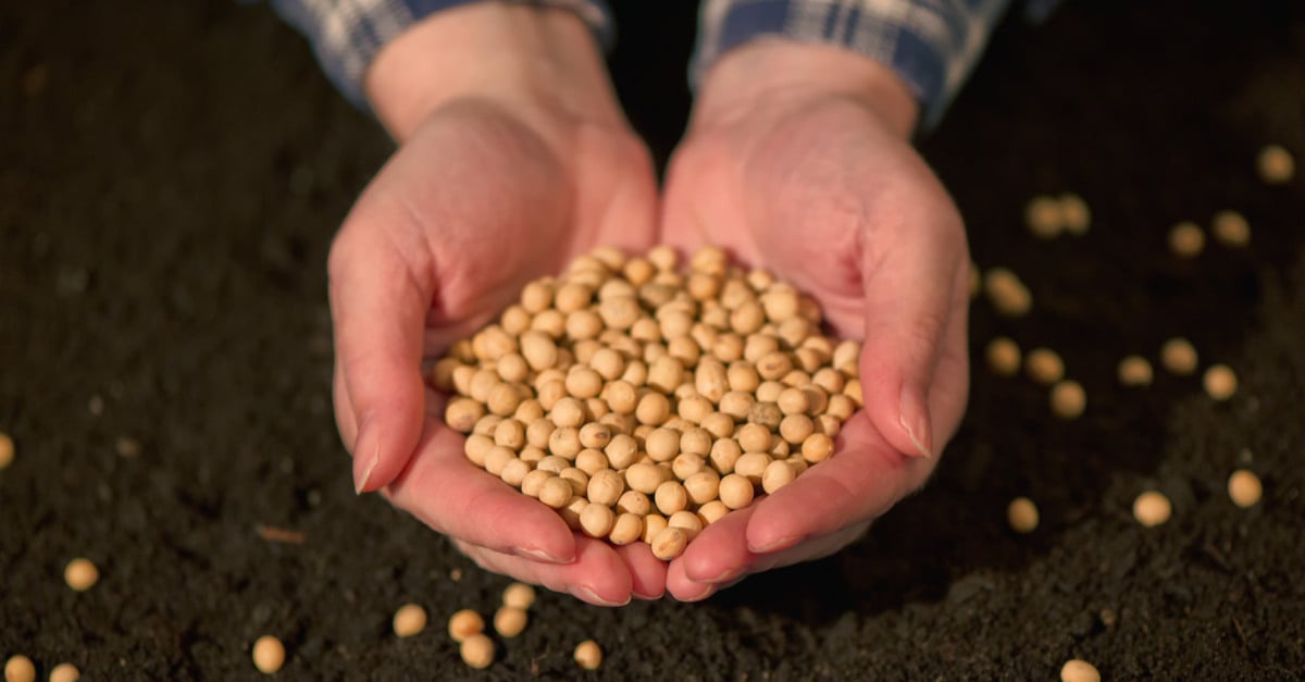 Chicago continua ganhando apesar do dólar fraco