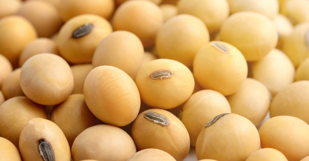 Colheita recorde impulsiona produção em 2022/23 4 Brasil registra colheita recorde e produção avança em 2022/23