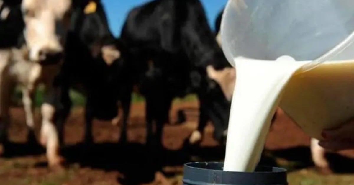 CNA investiga medidas antidumping no leite argentino