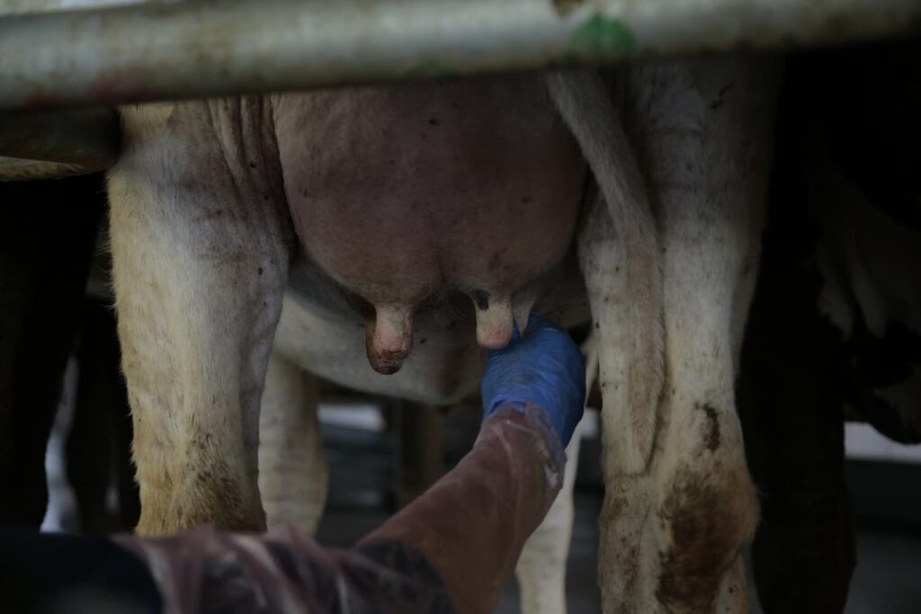 Como diagnosticar e tratar? 42 como diagnosticar e realizar o tratamento?