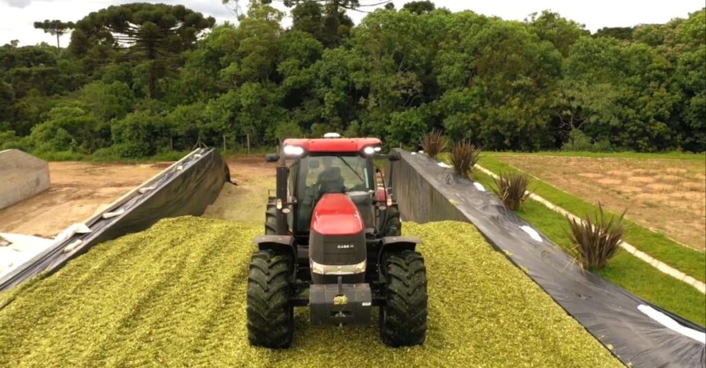 Silagem de alta qualidade depende da compactação adequada