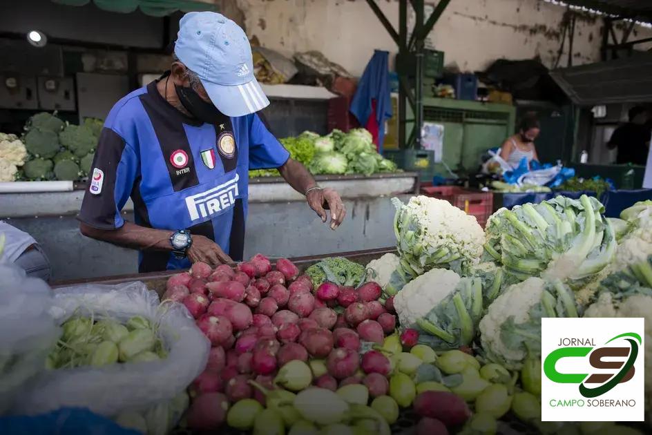 Comparativo de Preços: Grama Esmeralda CEASA Versus Outros Pontos de Venda