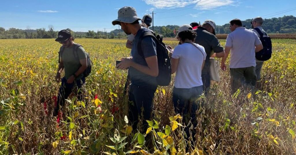 Conab vai a campo para levantamento da safra 2023/24 • Portal DBO