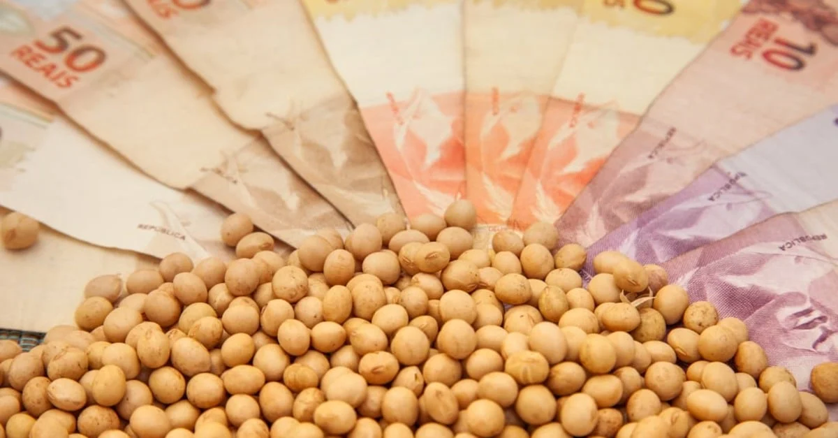 Preços da soja em queda esta semana 6 Preço da soja no Brasil não reage nem com altas de Chicago e dólar