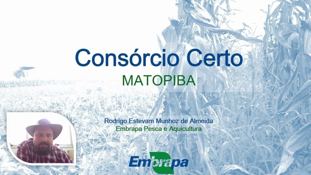 consorcio certo matopiba