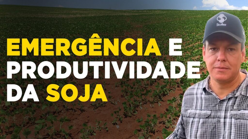 controle da produtividade de soja