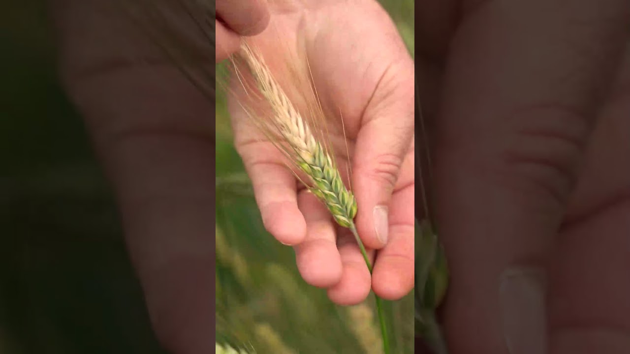 Convite CerealTec, 2023