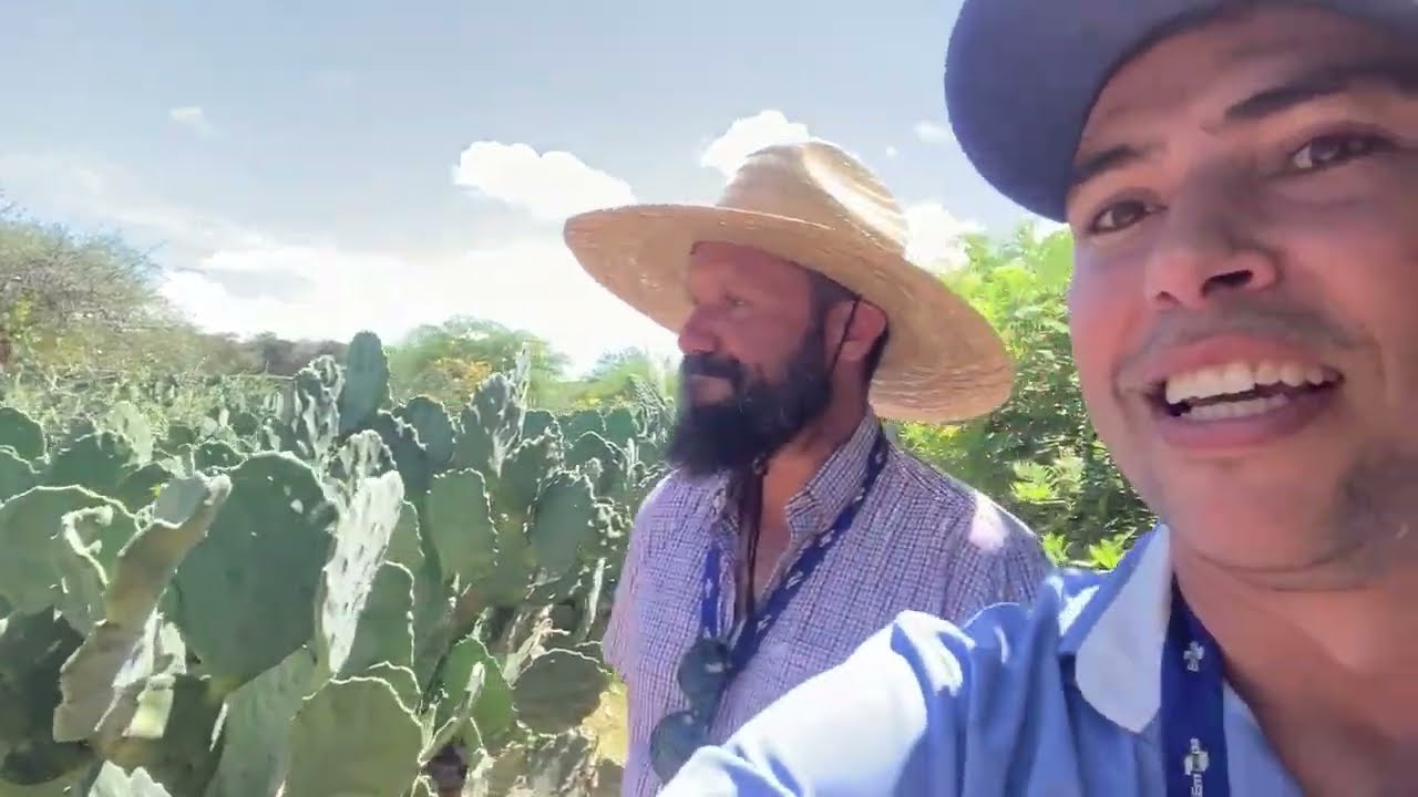 cooperacao internacional brasil senegal visita ao brasil